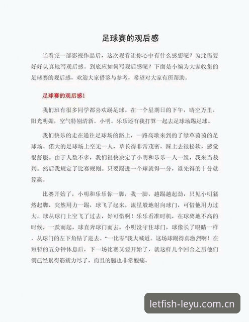 资深球迷分享：乐鱼体育平台观战世界杯前的签证风波与观赛心得